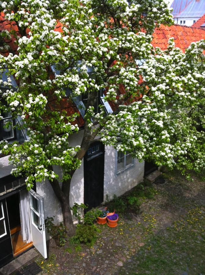 Dahmskahuset Apartamento Kalmar Exterior foto